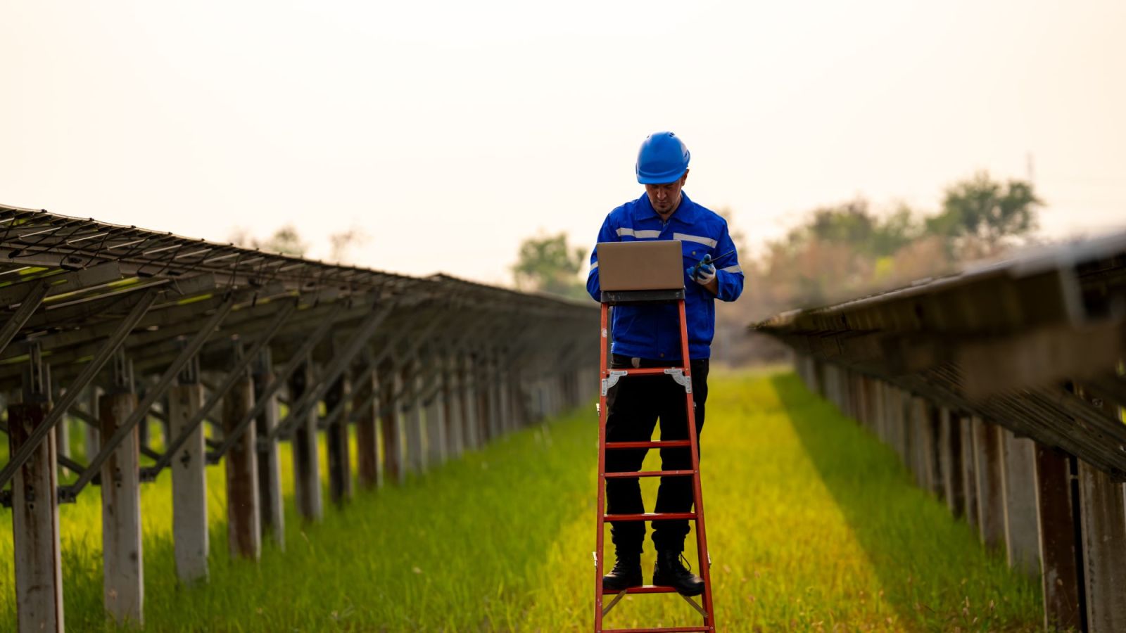 Mann auf einer Leiter überwacht den Ausbau von Solarpanels