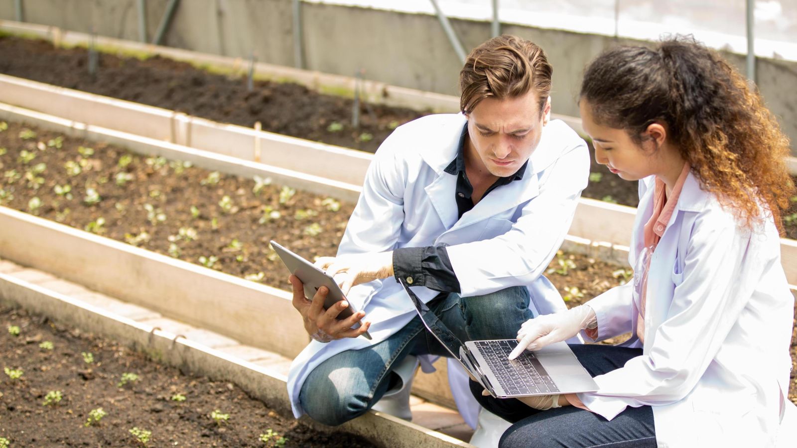 Agrarwissenschaftler*innen auf Feld 