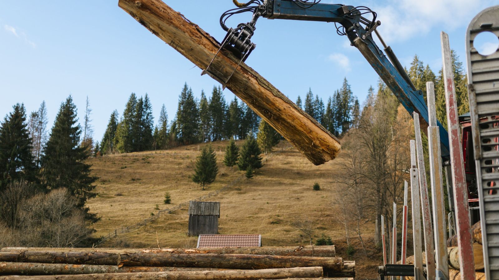 KI-gesteuerter Greifarm lädt Holz in LKW und der Holzgreifer hält einen Baumstamm in der Luft.
